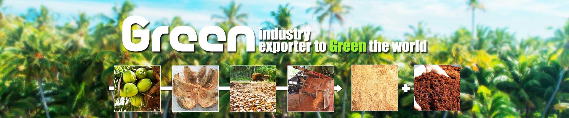 organic coco products